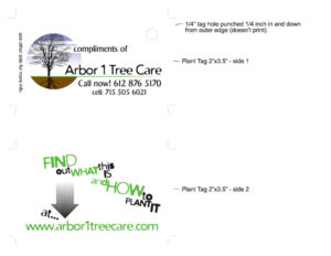 Free Tree Card Layout