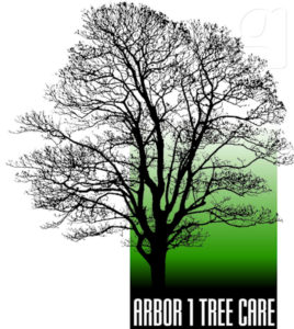 Second Variation of Tree Service Company Logo